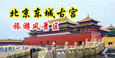 巨屌操逼视频中国北京-东城古宫旅游风景区